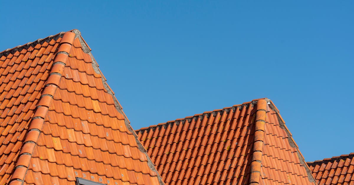 Best Practices for Reducing Chemical Impact on Soil in Roof Cleaning