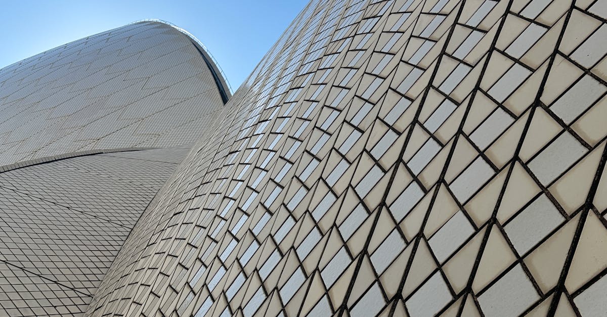 Common Myths About Roof Moss and Algae Cleaning