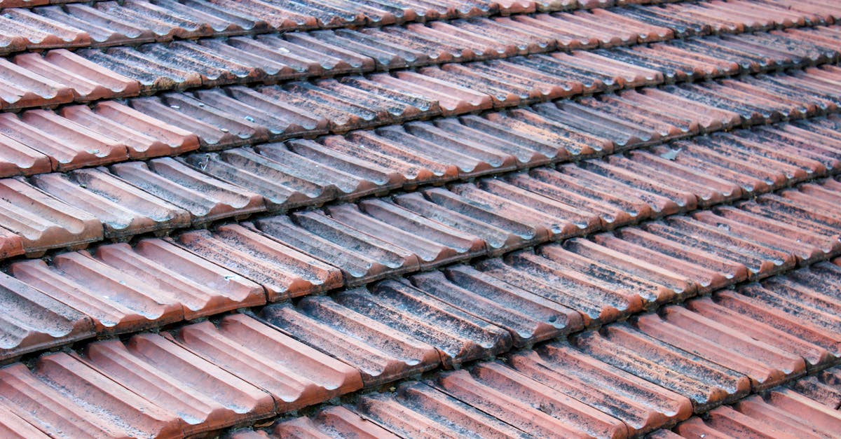 Comparing Different Methods for Roof Moss Eradication