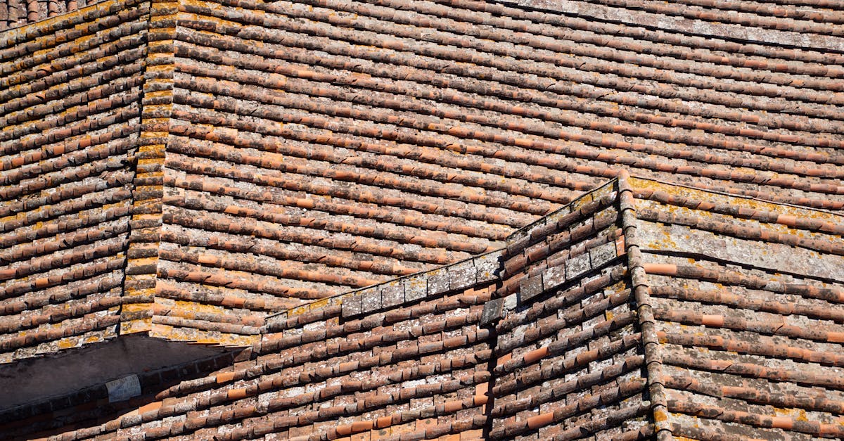 Cost Factors for Commercial Roof Cleaning Projects in Sydney