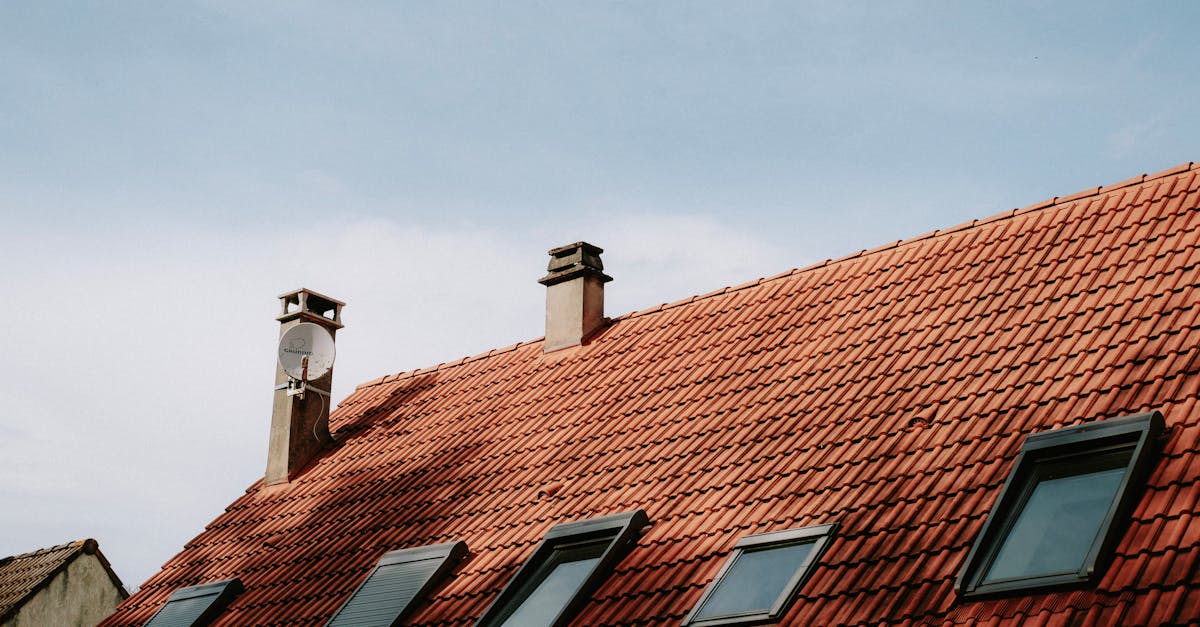 DIY Roof Cleaning Supplies You Need for Sydney Conditions