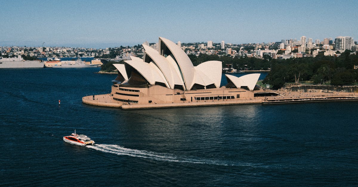 Effective Techniques for Moss Removal from Sydney Roofs