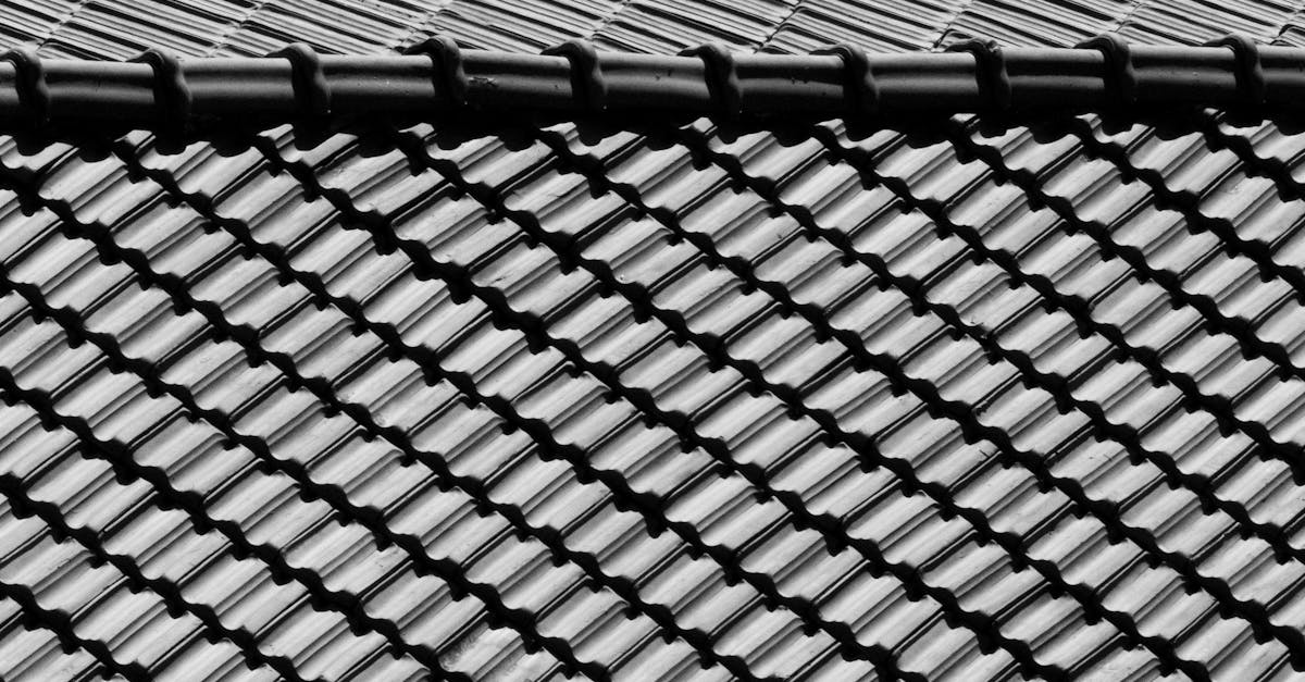 Essential Gutter Maintenance Tips for Sydney Residents