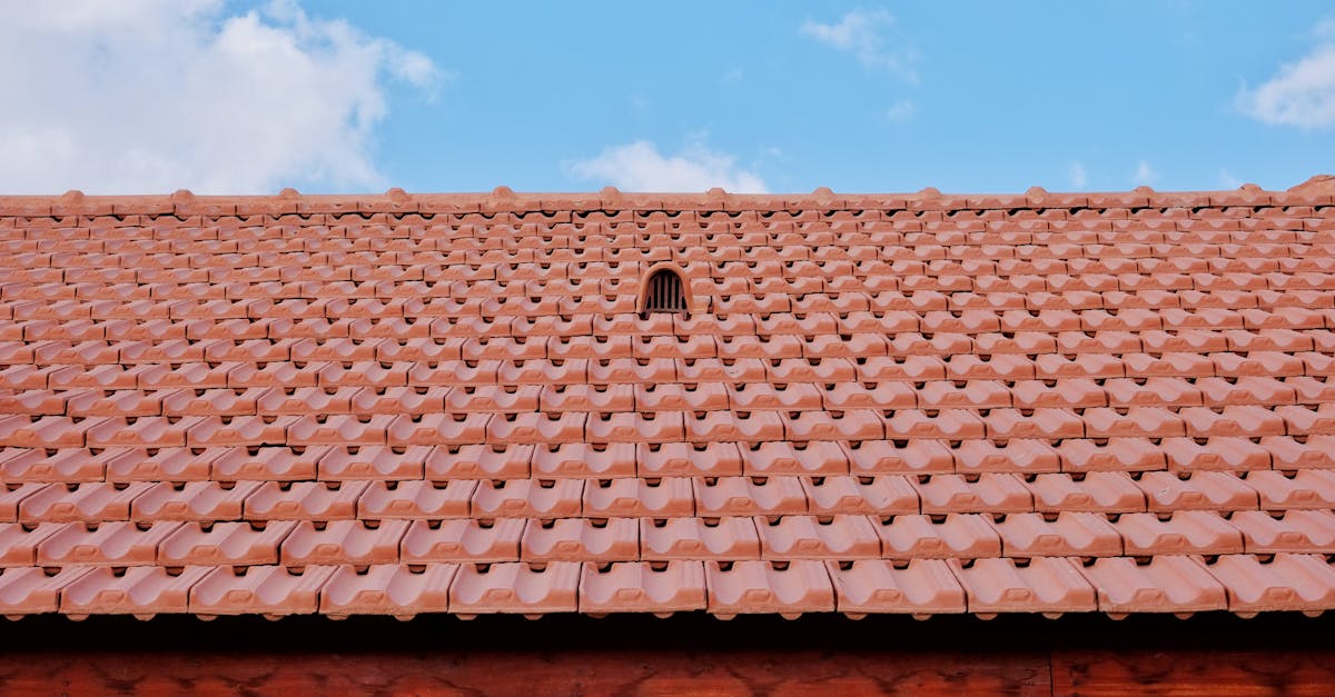 Essential Tips for Safely Accessing Your Roof During Cleaning