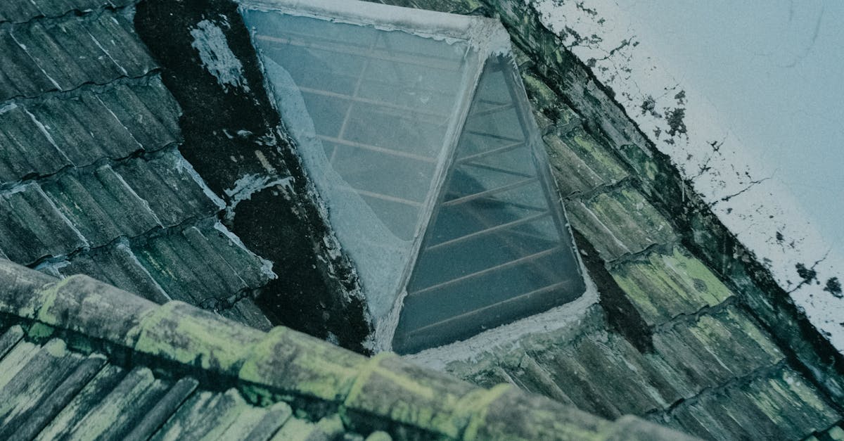 How to Avoid Common Mistakes During DIY Roof Cleaning