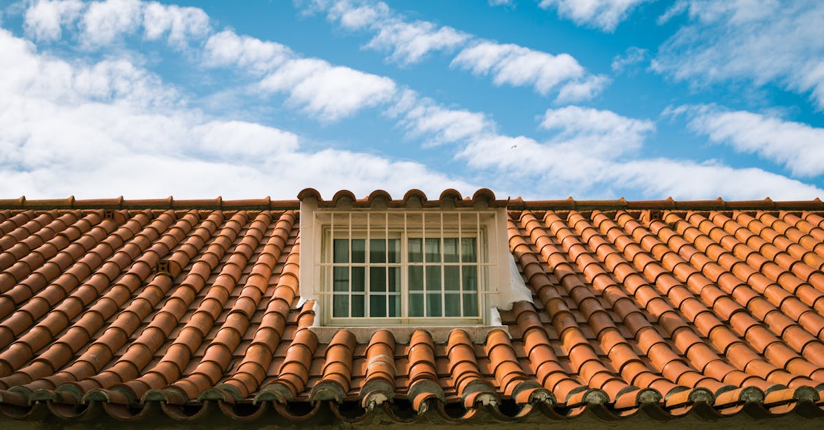How to Identify and Treat Roof Moss Build-Up