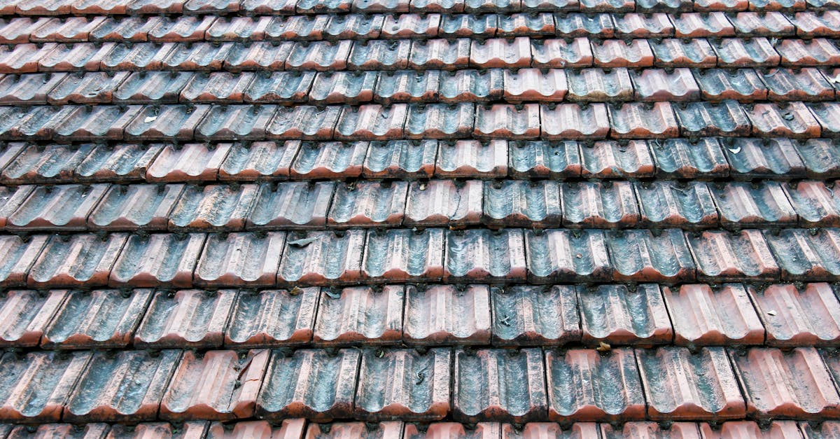 How to Maintain Your Roof Post-Cleaning