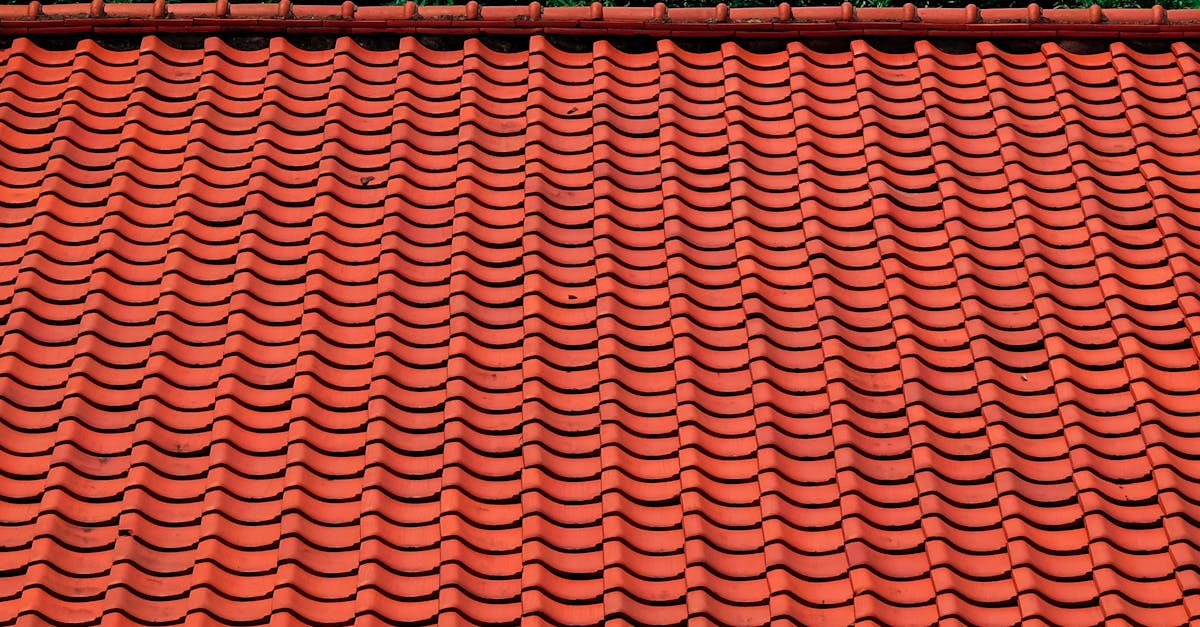 Implementing Rainwater Harvesting during Roof Cleaning