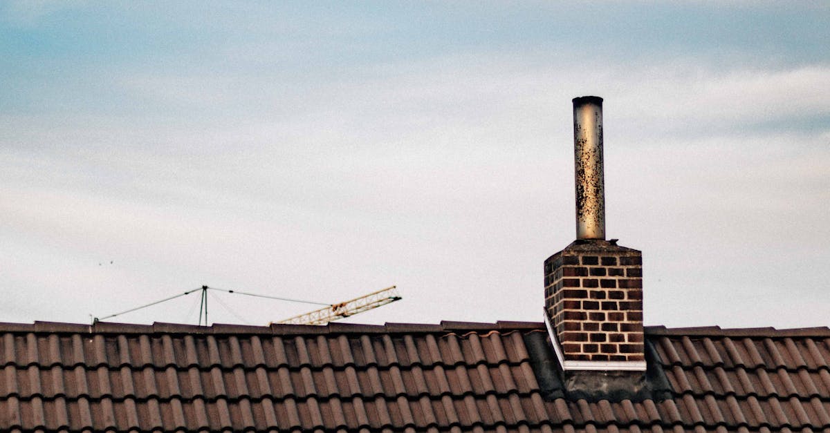 Natural Ingredients for an Eco-Friendly Roof Cleaner