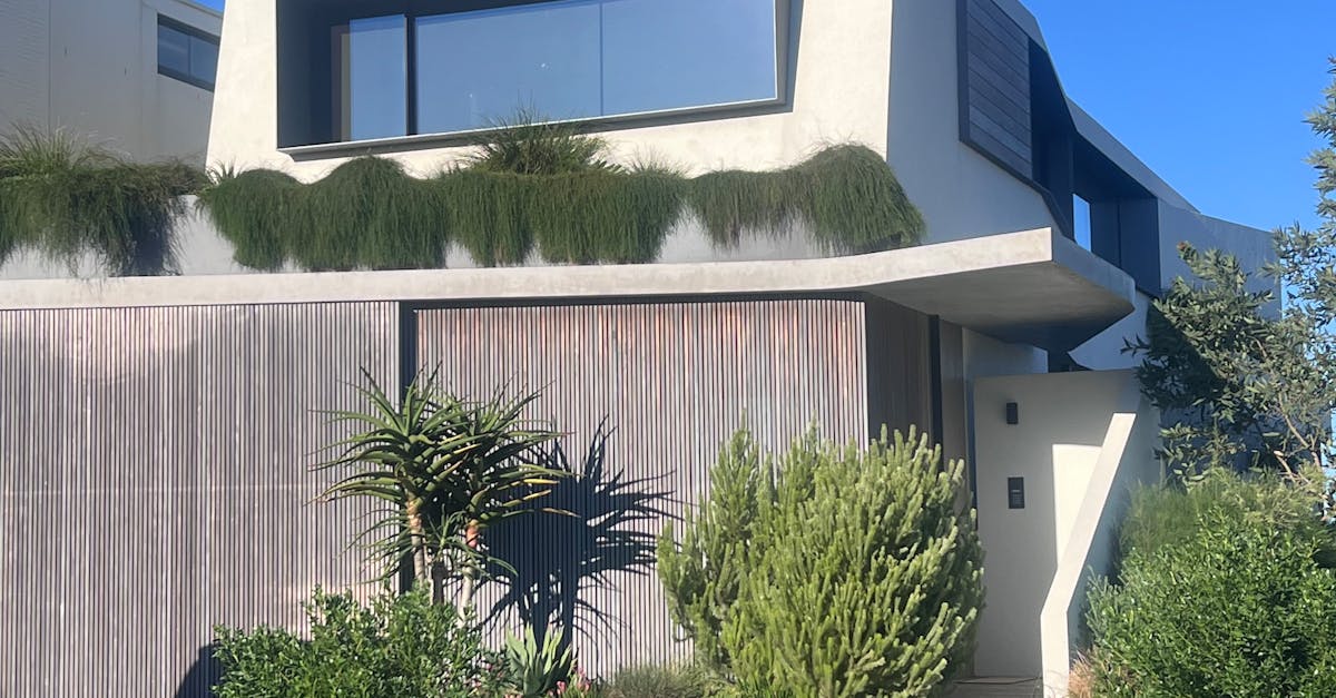 Neglecting to Remove Debris Prior to Roof Treatment