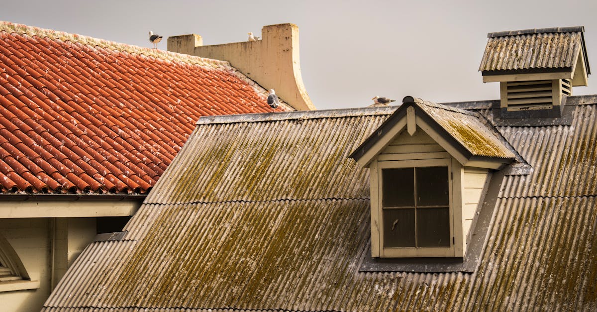 Recommended Cleaners and Solutions for DIY Roof Maintenance