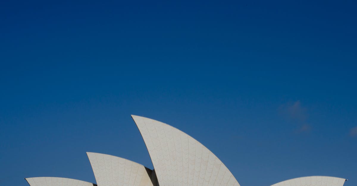 Seasonal Roof Cleaning Practices for Sydney Homeowners