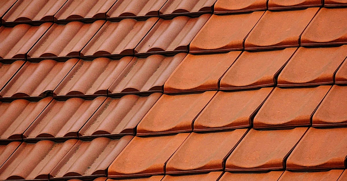 Signs Your Roof Needs a Professional Cleaning