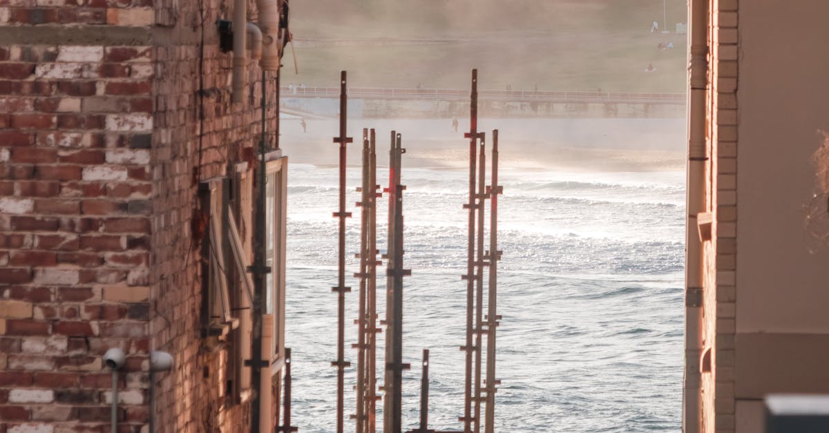 Sustainable Detergents: A Future for Roof Maintenance