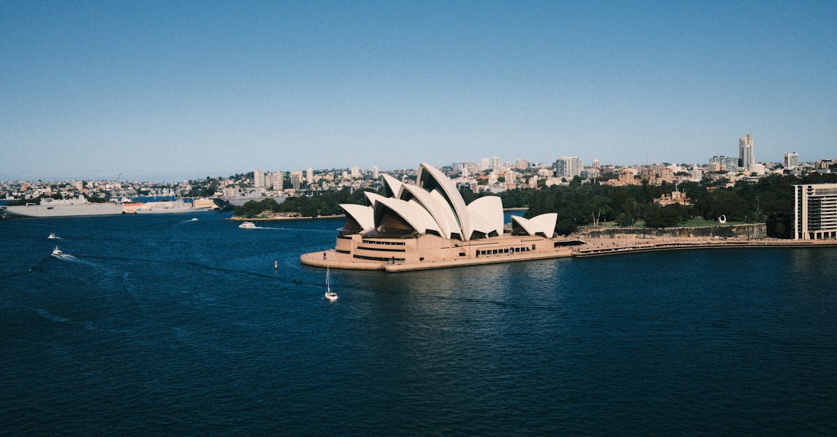 The Benefits of Biodegradable Cleaners in Roof Maintenance