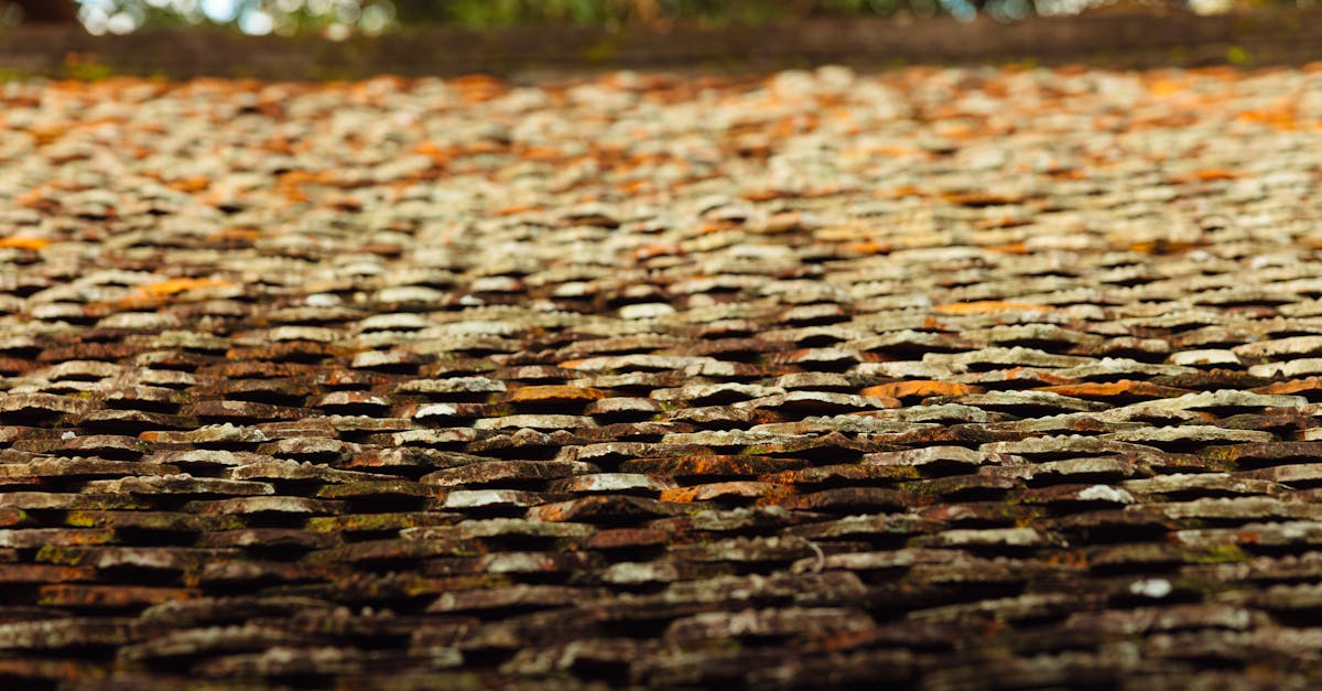 The Role of Eco-Friendly Detergents in Roof Maintenance