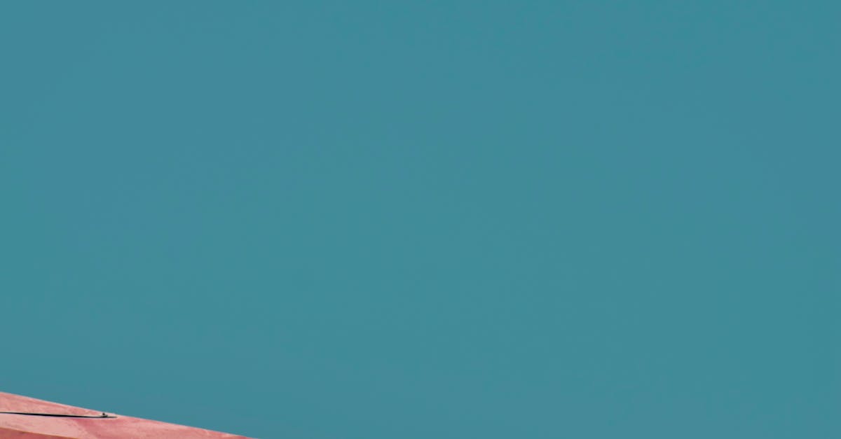 The Role of Regular Maintenance in Preventing Algae Growth