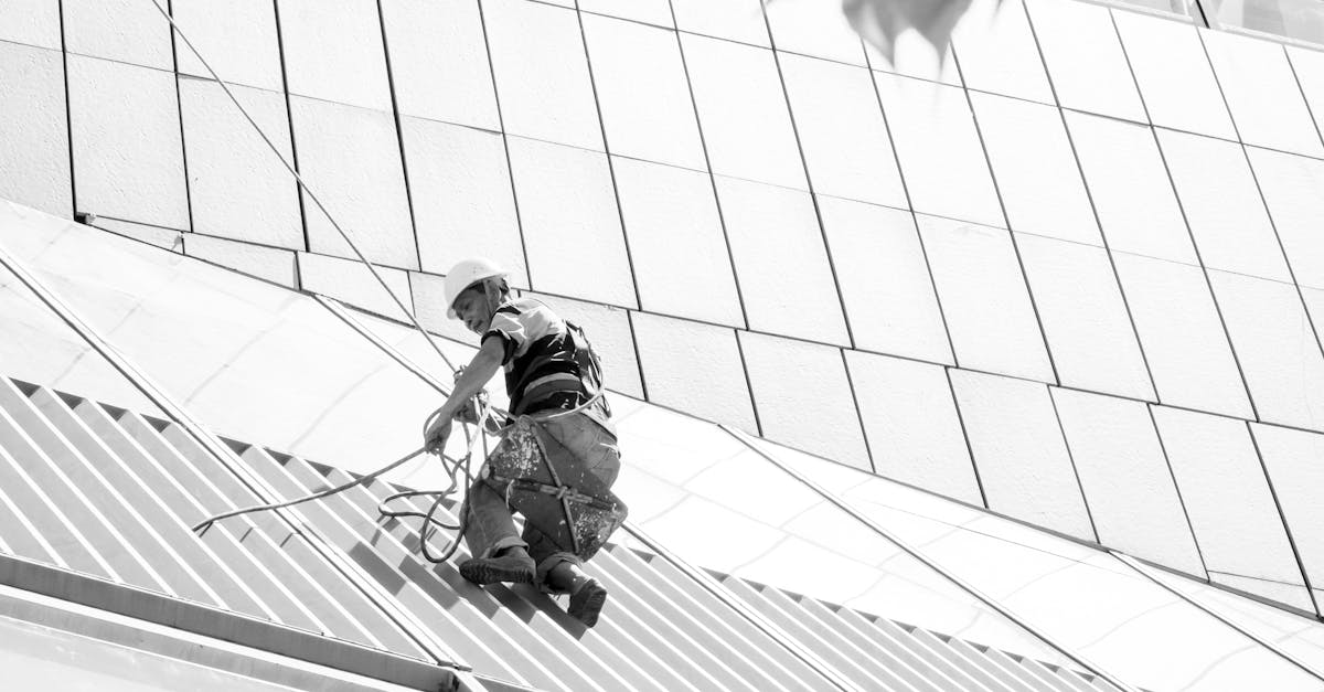 The Role of Water Conservation in Eco-Friendly Roof Cleaning