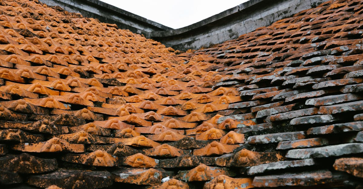 Top Squeegees for Achieving a Shine on Your Roof