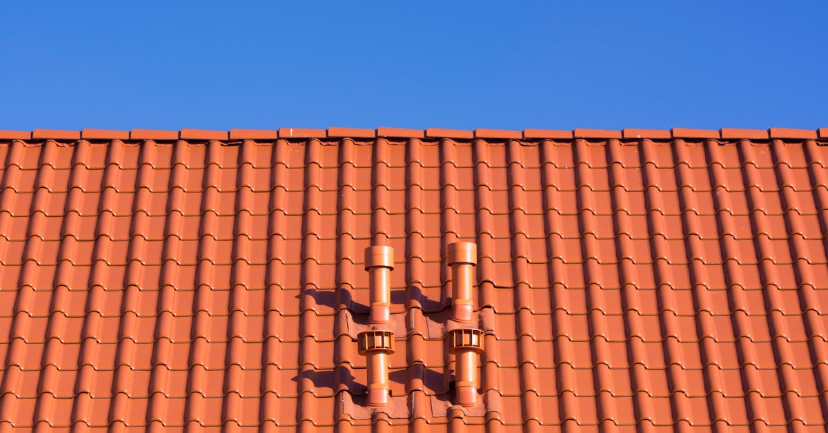 Understanding Gutter Guards: Do They Work in Sydney?