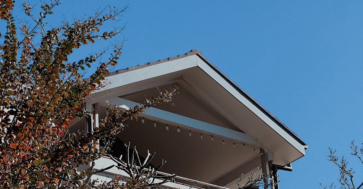 Understanding the Costs of Residential Roof Cleaning in Sydney