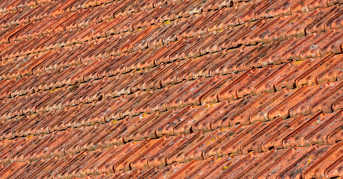 Understanding the Water Needs of Different Roof Cleaning Methods