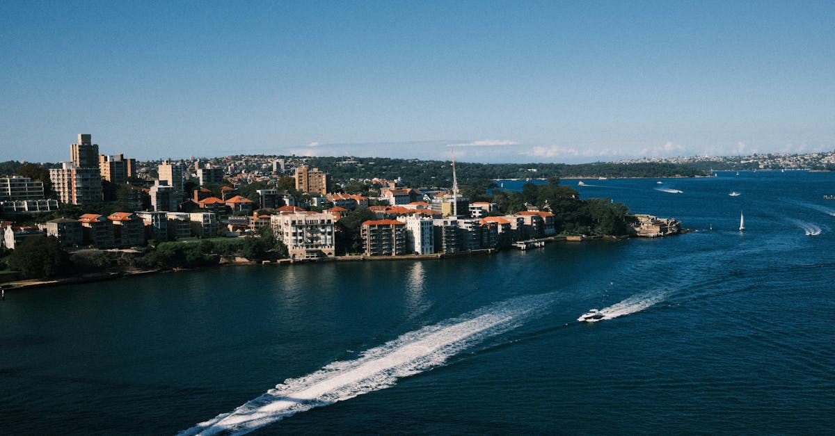 When to Schedule Roof Cleaning for Optimal Results